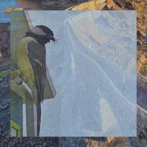 충청남도 청양군 개인회생